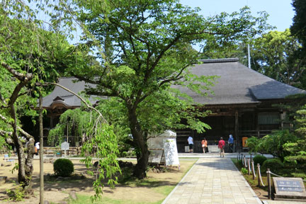 CIMG8007.jpg
