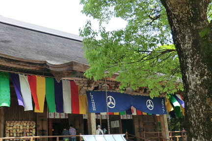 CIMG8025.jpg