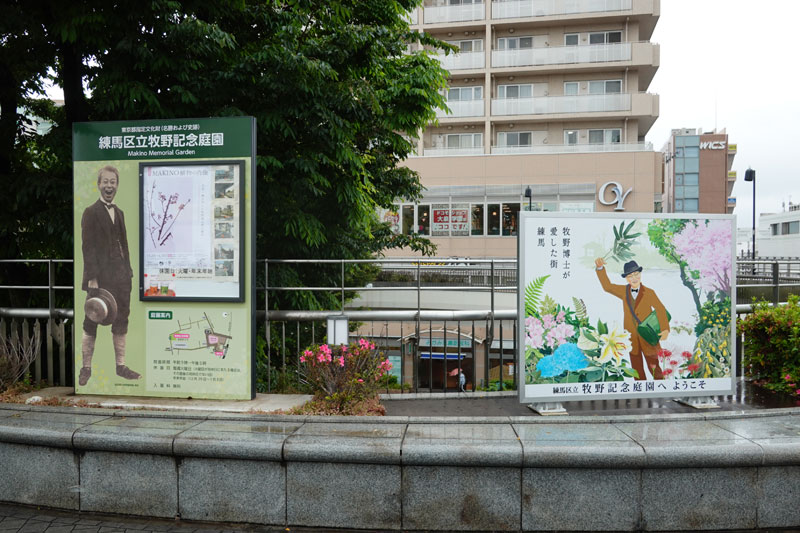 練馬区立牧野記念庭園に行く | イケてる、モノ・コト 練馬区立牧野記念庭園に行く | イケてる、モノ・コト