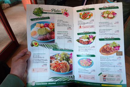 ハワイアンHawaii豪華客船ランチメニュー6点セット売りレア