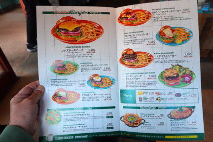 多摩のランチ：コナズ珈琲多摩ニュータウン店 ハワイ料理 | イケてる