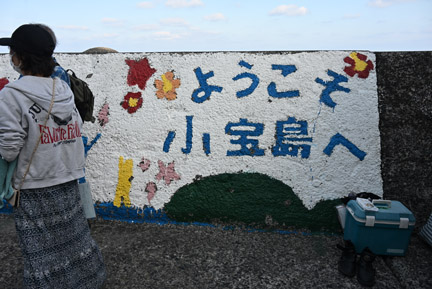 危ない不動産 (別冊宝島 2428) 別冊宝島2428 危ない不動産│宝島社の通販 宝島チャンネル