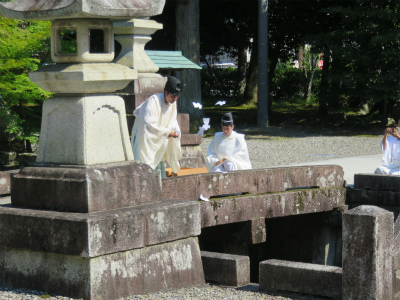 令和7年 多賀大社 夏越の大祓[茅の輪くぐり]のお知らせ