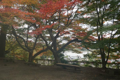 多賀町　紅葉情報その２