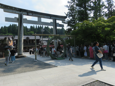 令和8年 多賀大社 夏越の大祓[茅の輪くぐり]のお知らせ