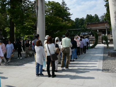 令和8年 多賀大社 夏越の大祓[茅の輪くぐり]