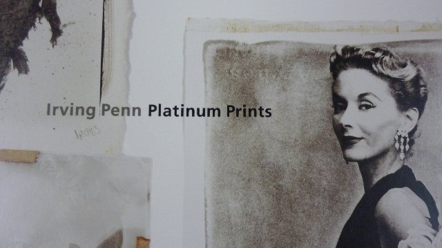 Irving Penn  Platinum Prints