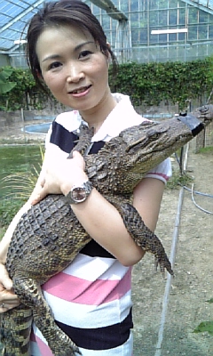 子ワニ - 20110107_1706524.jpg