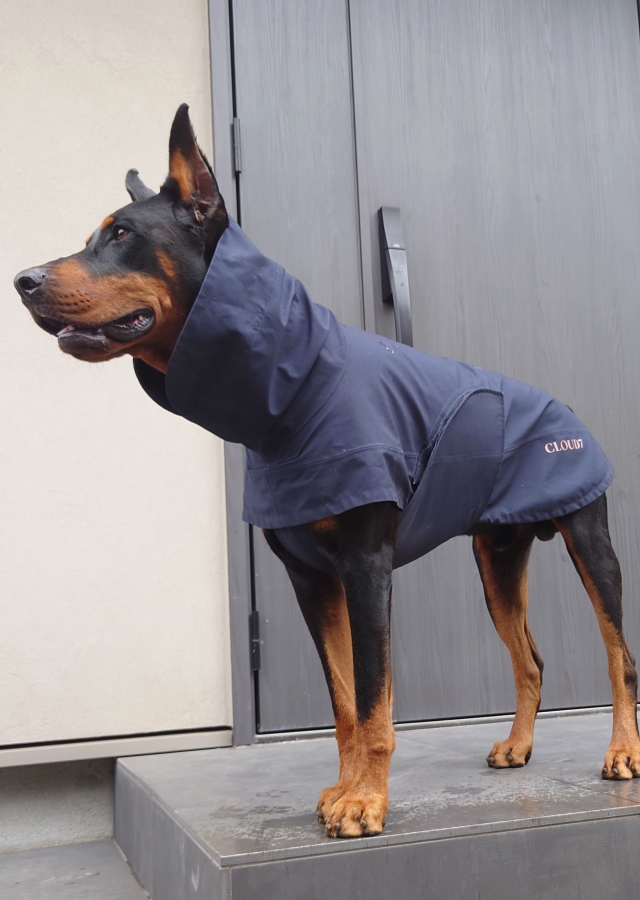 冬には犬や猫の穴を厚くして保温するペットやペット用品