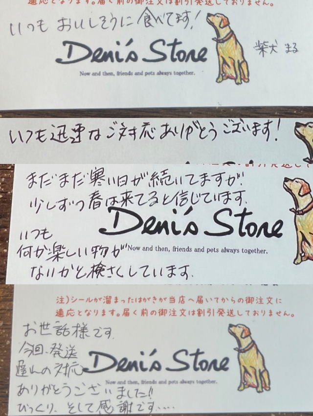 今年の新作から定番まで！ トイプードル❤️クリスマス特別価格❤️ お迎え決まりました 羊毛フェルト
