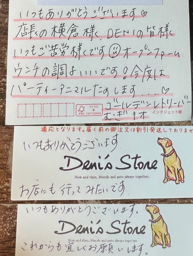 サンキューカード　30枚　ゴールデンレトリバー　ご注文受付中です☆ サンキューカード 30枚 ゴールデンレトリバー ご注文受付中です☆