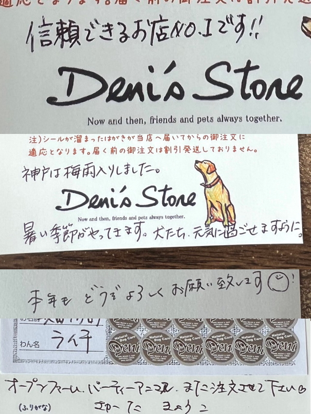 カラーなナガノ ナガノマーケット 韓国限定 バニラ クールグレー ブルーグレー 韓国限定 カラーなナガノのくま バニラ ブルーグレー クール