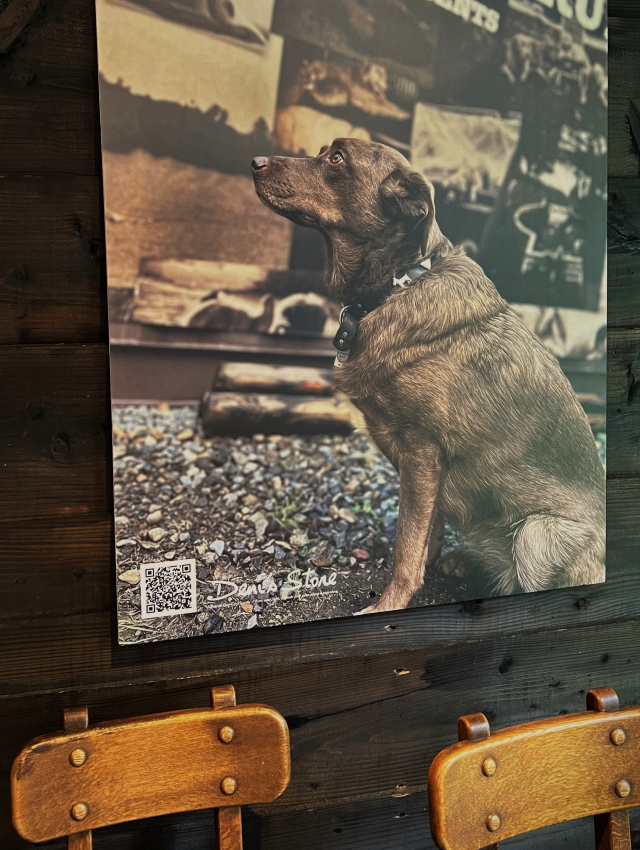 早い者勝ち！ロイヤルカナンゴールデンレトリバー12kg送料無料