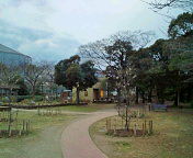 20110123162333.jpg