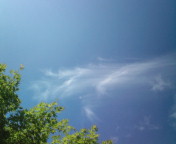 20110722080425.jpg