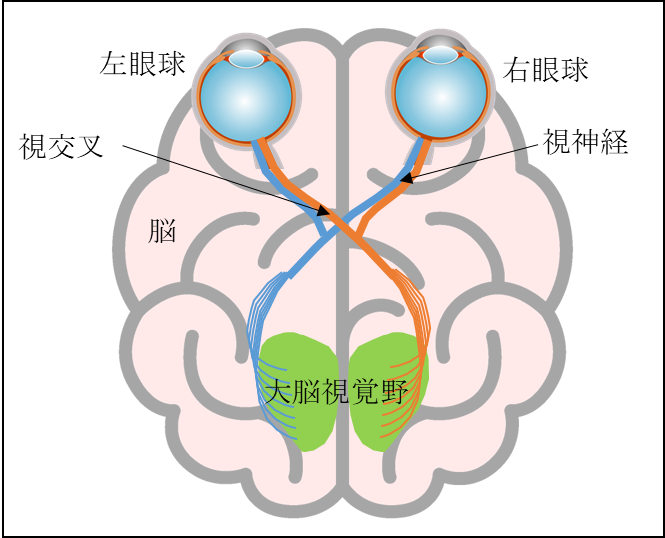 Optical Learning Blog