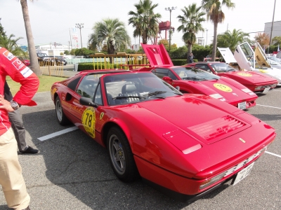 DSC00980.JPG