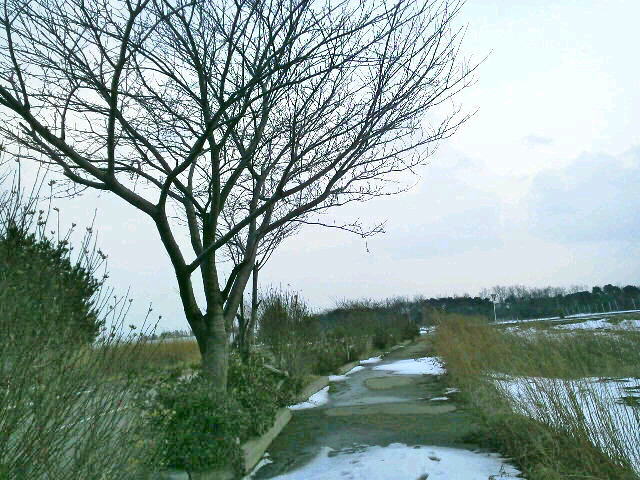 2013022717090000.jpg