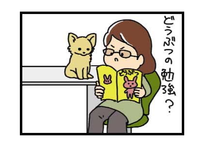  Chihuahua  ʤ  ʡ  ̡ 饹  ̡衡̡ manga CartoonΡưʪ