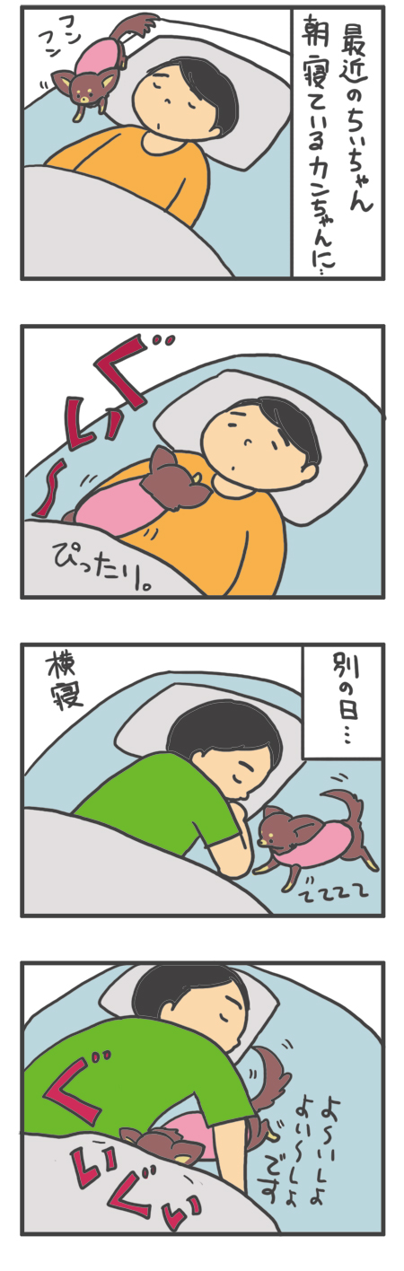 ちぃたん | チョコクロ福姉妹・ちぃぷぅ 