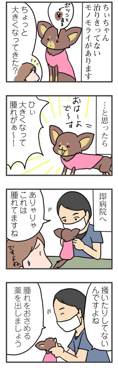 ちぃちゃん、またまたモノモライ | チョコクロ福姉妹・ちぃぷぅ 