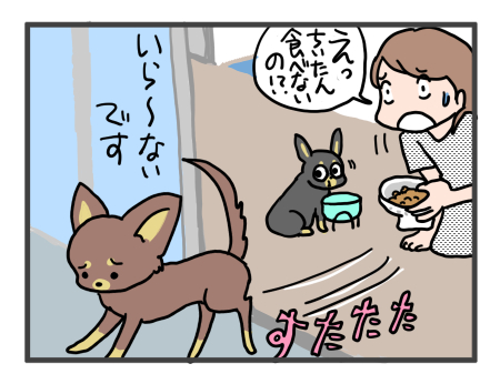 ちぃちゃん、旅の奇跡？ | チョコクロ福姉妹・ちぃぷぅ 