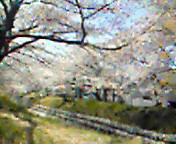 201104141050000.jpg