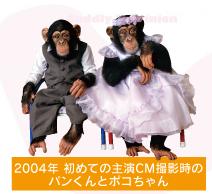 パン君、さよなら引退公演。 | ティンクナ・ぶろぐ