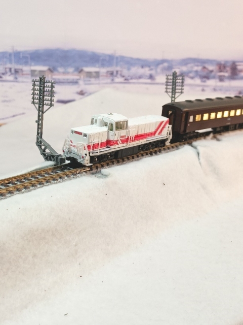 JR DE10-1000形ディーゼル機関車（1756号機・ハイパーサルーン