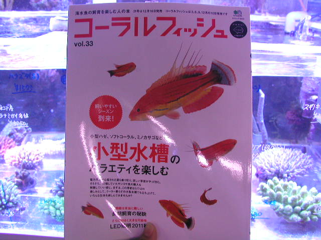 コーラルフィッシュ vol.1〜vol.33 コーラルフィッシュ Vol.33