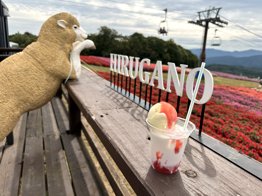 ひるがの高原の『ひるがのピクニックガーデン』 | ナオの備忘録 <NAO's BLOG>