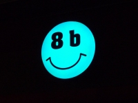 8b 13