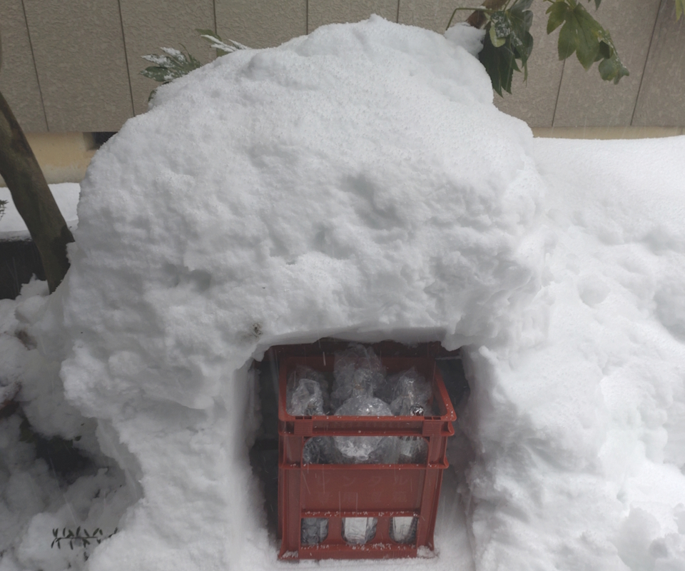 キューリグ 上島 雪室 SUZUKI COFFEE 雪室珈琲 / キューリグオンライン