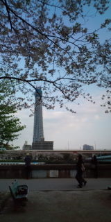 20100411161723.jpg