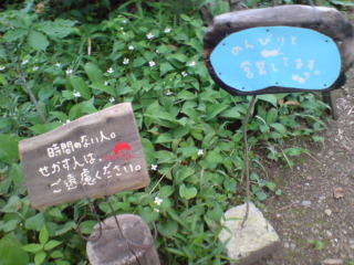 20110630012002.jpg