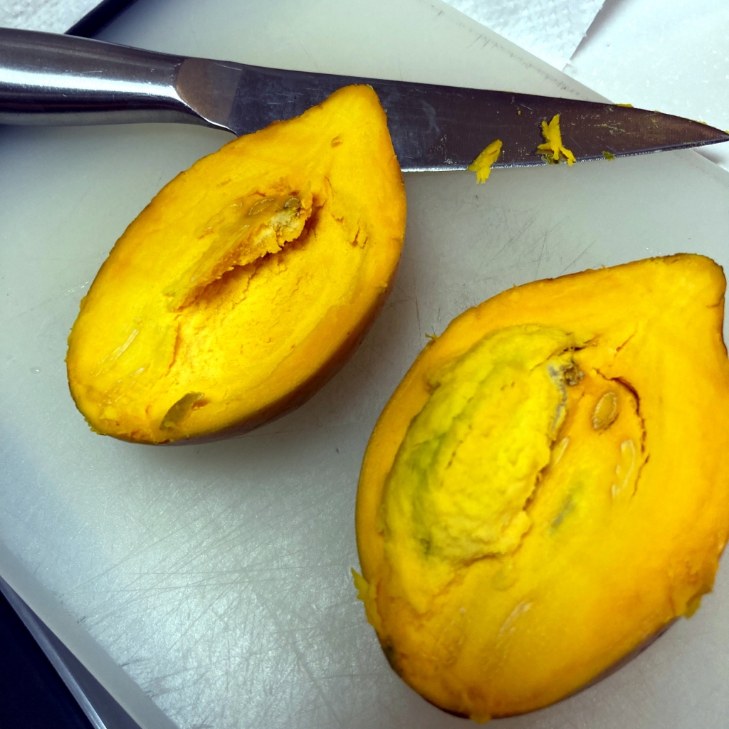 沖縄土産の果物「カニステル」が発芽した！】 | 上小田井の