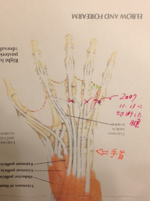 20121113秤ȶ03