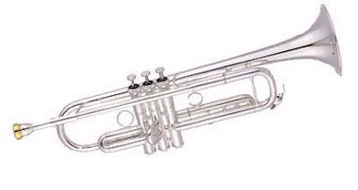 NY Classic 7M 曲げ(約13度) NY Classic（ニューヨーク