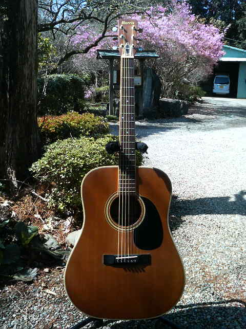 Morris W-28 1975 アコースティックギター☆ジャンク品