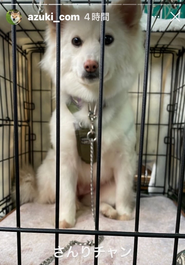 犬用ゲージ I♡PETS しつけるプラス・ワンサークル 犬サークル