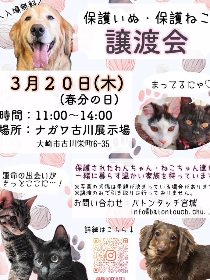 うちのこ肖像画 黒背景 売り上げの一部を地元の犬猫保護団体に寄付させ 