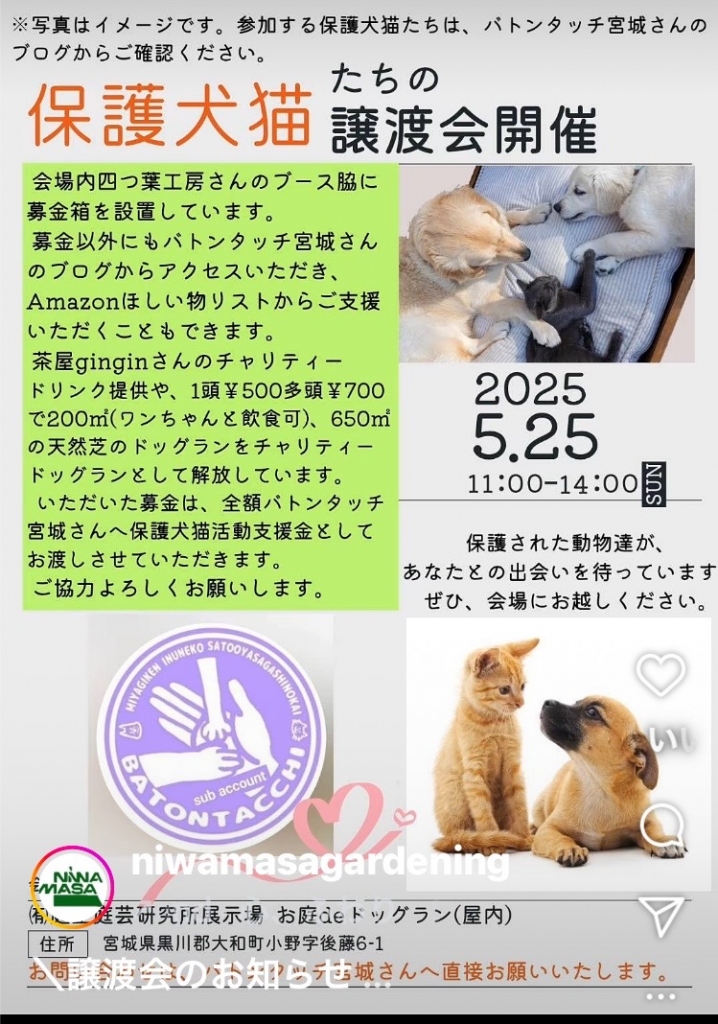 鉄の猫 ねこ 猫 CAT にゃんにゃん 手作り ハンドメイド 世界に一つだけ