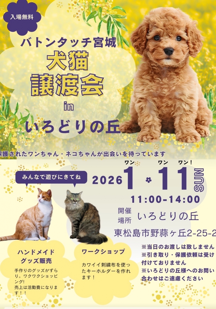 宮城県 犬猫里親探しの会 バトンタッチ