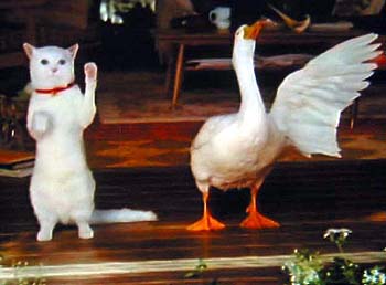 Aflac CM 「まねきねこダックの歌」篇 15秒 - YouTube