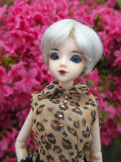 2025年07月19日の記事 | 瞳に四角い鰯雲