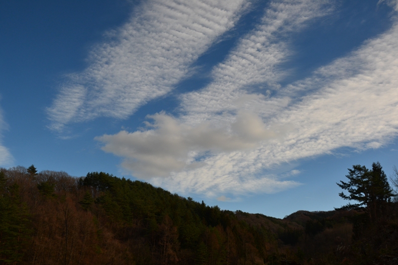 波状雲（巻積雲） | 岩手県北の自然誌ブログ