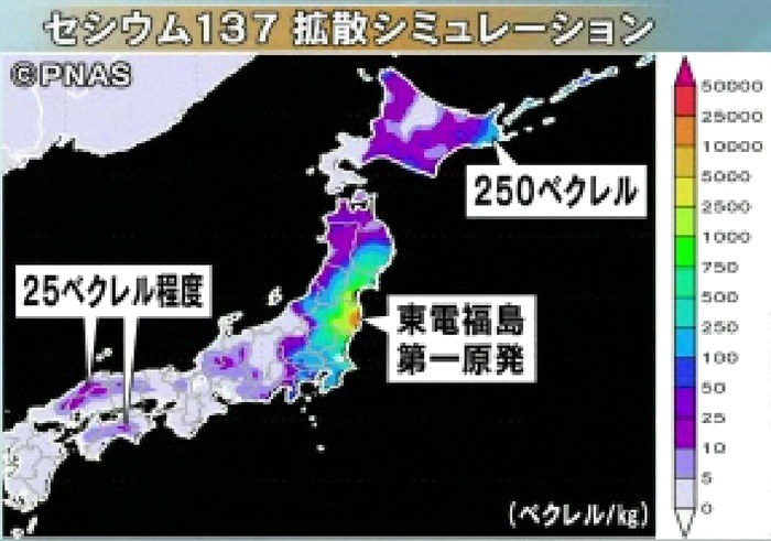 放射能汚染、内部被曝をテスラ製品でストップ！、　＜ミヌーシュ＞