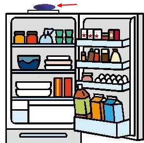 冷蔵庫の上に、テスラ　トラベルプレートをのせて、庫内の食品を、トリート