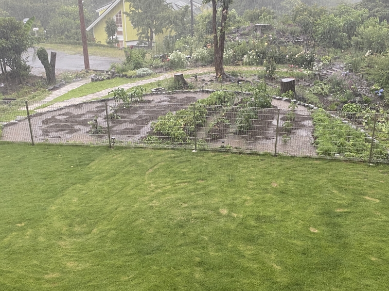 台風の1日 | しっぽの生えた天使達 。。。2