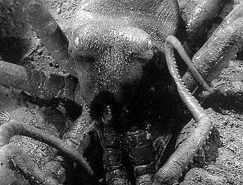 フランケンシュタイン対地底怪獣』について知っている、いくつかの事柄